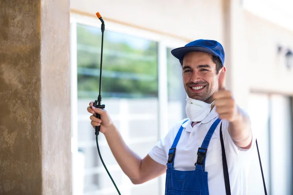 West Hollywood Wasp Removal
