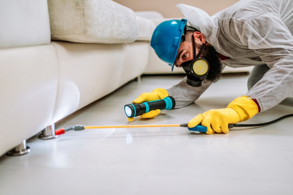 West Hollywood Termite Control