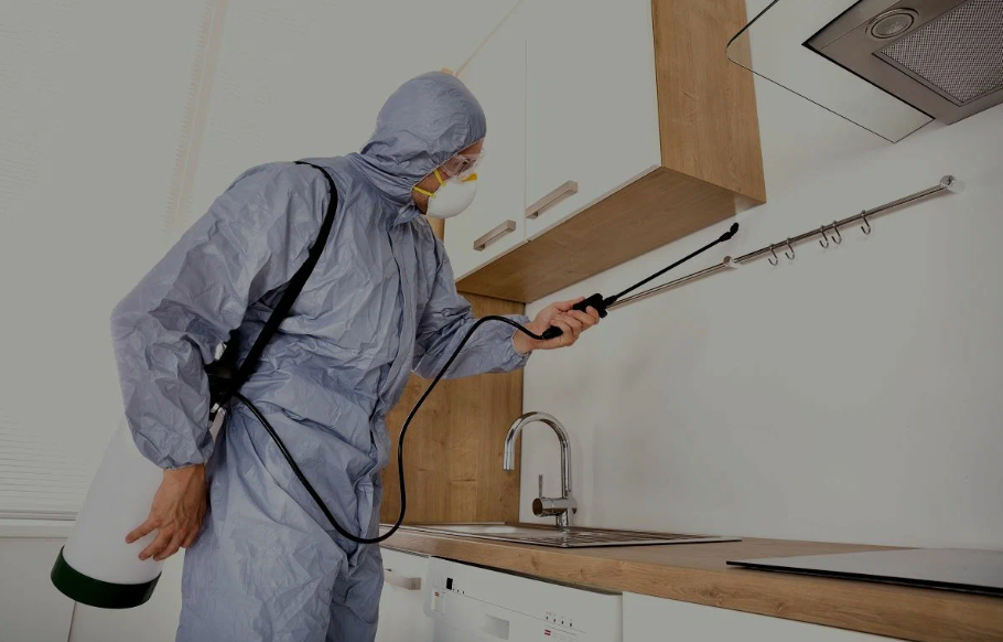 West Hollywood pest managment